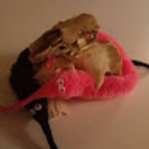 Meet your Posher, Morgan